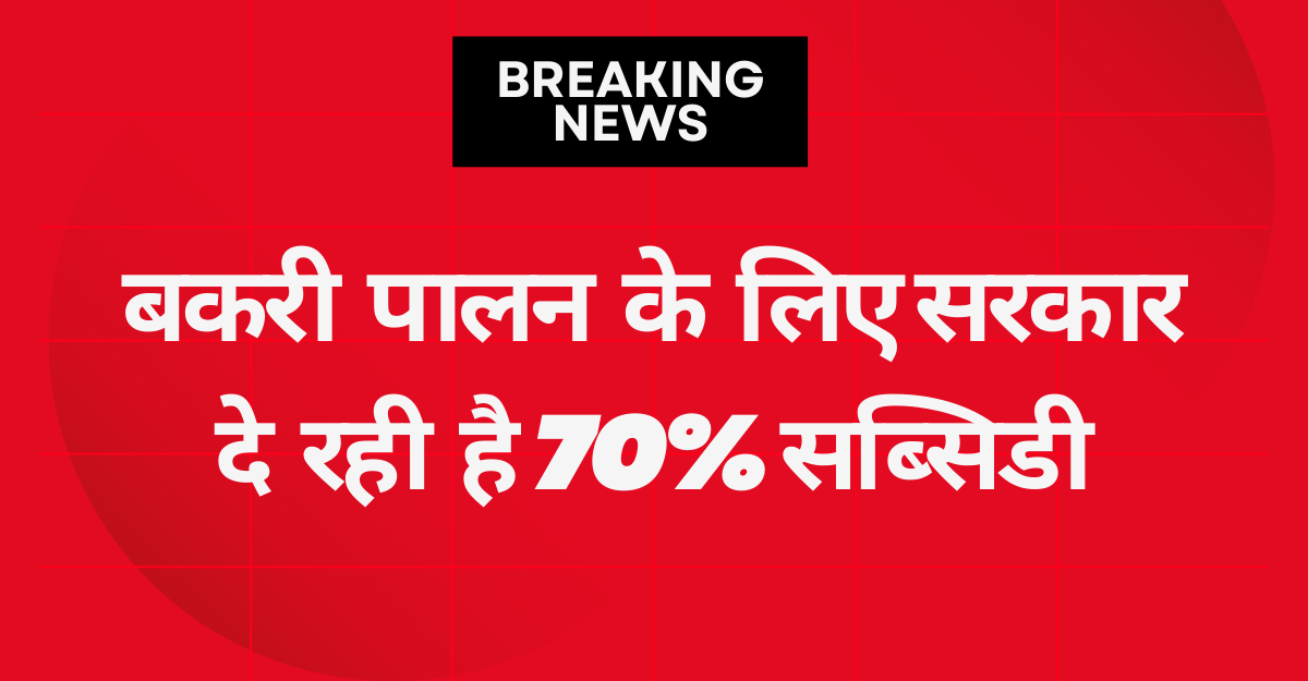 Bakri Palan Yojana 2025